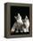 Domestic Cat, Two 8-Week Tabby Tortoiseshell and White Kittens-Jane Burton-Framed Premier Image Canvas