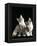 Domestic Cat, Two 8-Week Tabby Tortoiseshell and White Kittens-Jane Burton-Framed Premier Image Canvas