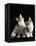 Domestic Cat, Two 8-Week Tabby Tortoiseshell and White Kittens-Jane Burton-Framed Premier Image Canvas