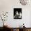 Domestic Cat, Two 8-Week Tabby Tortoiseshell and White Kittens-Jane Burton-Photographic Print displayed on a wall