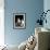 Domestic Cat, Two 8-Week Tabby Tortoiseshell and White Kittens-Jane Burton-Framed Photographic Print displayed on a wall