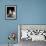 Domestic Cat, Two 8-Week Tabby Tortoiseshell and White Kittens-Jane Burton-Framed Photographic Print displayed on a wall