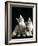 Domestic Cat, Two 8-Week Tabby Tortoiseshell and White Kittens-Jane Burton-Framed Photographic Print