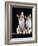 Domestic Cat, Two 8-Week Tabby Tortoiseshell and White Kittens-Jane Burton-Framed Photographic Print