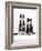 Domestic Cat, Two Black-And-White Fluffy Kittens, Male Siblings-Jane Burton-Framed Photographic Print