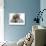 Domestic Cat, Two Blue Persian Kittens with a Brindle Teddy Bear-Jane Burton-Photographic Print displayed on a wall