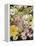 Domestic Cat, Two Cream Kittens Among Dasies and Feverfew-Jane Burton-Framed Premier Image Canvas
