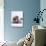Domestic Cat, Two Persian Kittens with Teddy Bear-Jane Burton-Photographic Print displayed on a wall