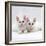 Domestic Cat, White Semi-Longhair Turkish Angora Kittens, One with Odd Eyes-Jane Burton-Framed Photographic Print