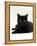 Domestic Cat, Young Black Male-Jane Burton-Framed Premier Image Canvas