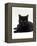 Domestic Cat, Young Black Male-Jane Burton-Framed Premier Image Canvas