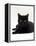 Domestic Cat, Young Black Male-Jane Burton-Framed Premier Image Canvas