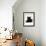 Domestic Cat, Young Black Male-Jane Burton-Framed Photographic Print displayed on a wall