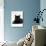 Domestic Cat, Young Black Male-Jane Burton-Photographic Print displayed on a wall