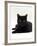 Domestic Cat, Young Black Male-Jane Burton-Framed Photographic Print