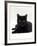 Domestic Cat, Young Black Male-Jane Burton-Framed Photographic Print