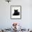 Domestic Cat, Young Black Male-Jane Burton-Framed Photographic Print displayed on a wall