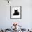 Domestic Cat, Young Black Male-Jane Burton-Framed Photographic Print displayed on a wall