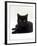 Domestic Cat, Young Black Male-Jane Burton-Framed Photographic Print