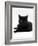 Domestic Cat, Young Black Male-Jane Burton-Framed Photographic Print