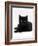 Domestic Cat, Young Black Male-Jane Burton-Framed Photographic Print