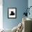 Domestic Cat, Young Black Male-Jane Burton-Framed Photographic Print displayed on a wall