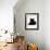 Domestic Cat, Young Black Male-Jane Burton-Framed Photographic Print displayed on a wall