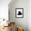 Domestic Cat, Young Black Male-Jane Burton-Framed Photographic Print displayed on a wall