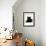 Domestic Cat, Young Black Male-Jane Burton-Framed Photographic Print displayed on a wall