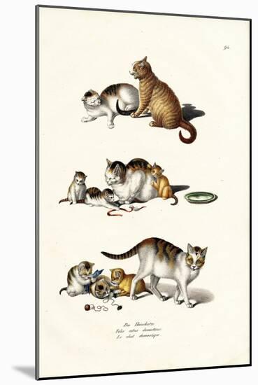 Domestic Cats, 1824-Karl Joseph Brodtmann-Mounted Giclee Print