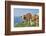 domestic cattles, Bos primigenius Taurus, meadow, frontal, stand, looking into camera-David & Micha Sheldon-Framed Photographic Print