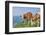 domestic cattles, Bos primigenius Taurus, meadow, frontal, stand, looking into camera-David & Micha Sheldon-Framed Photographic Print