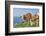 domestic cattles, Bos primigenius Taurus, meadow, frontal, stand, looking into camera-David & Micha Sheldon-Framed Photographic Print