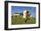 domestic cattles, Bos primigenius Taurus, meadow, frontal, stand, looking into camera-David & Micha Sheldon-Framed Photographic Print