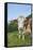 domestic cattles, Bos primigenius Taurus, meadow, frontal, stand, looking into camera-David & Micha Sheldon-Framed Stretched Canvas