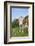 domestic cattles, Bos primigenius Taurus, meadow, frontal, stand, looking into camera-David & Micha Sheldon-Framed Photographic Print