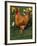 Domestic Chicken, Amongst Daffodils, USA-Lynn M. Stone-Framed Photographic Print