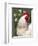 Domestic Chicken, Rooster Amongst Daffodils, USA-Lynn M. Stone-Framed Premium Photographic Print