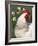 Domestic Chicken, Rooster Amongst Daffodils, USA-Lynn M. Stone-Framed Photographic Print