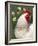 Domestic Chicken, Rooster Amongst Daffodils, USA-Lynn M. Stone-Framed Photographic Print