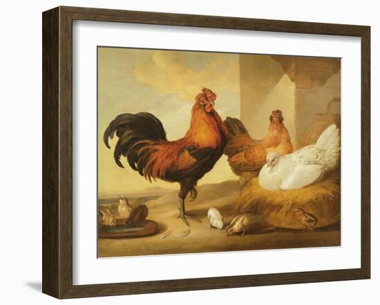 Domestic Cock, Hens and Chicks, 1655-Francis Barlow-Framed Giclee Print