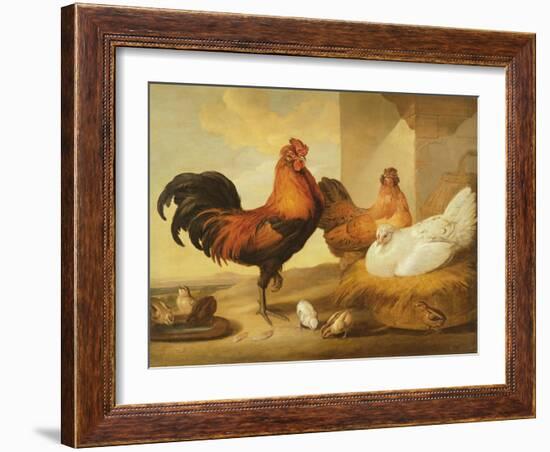 Domestic Cock, Hens and Chicks, 1655-Francis Barlow-Framed Giclee Print