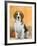 Domestic Dog, Beagle-Petra Wegner-Framed Photographic Print