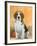 Domestic Dog, Beagle-Petra Wegner-Framed Photographic Print