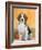 Domestic Dog, Beagle-Petra Wegner-Framed Photographic Print