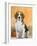 Domestic Dog, Beagle-Petra Wegner-Framed Photographic Print