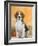 Domestic Dog, Beagle-Petra Wegner-Framed Photographic Print