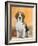 Domestic Dog, Beagle-Petra Wegner-Framed Photographic Print