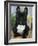 Domestic Dog, French Bulldog-Petra Wegner-Framed Photographic Print