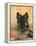 Domestic Dog, German Shepherd Alsatian Juvenile. 5 Months Old, with Rawhide Bone-Petra Wegner-Framed Premier Image Canvas